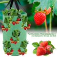 thumbnail image 3 of OUSITAID Strawberry Planting Pot Container Plant Grow Bags Home Hanging Strawberry Planter Growing Bags, 3 of 8