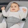 thumbnail image 6 of Baby Delight Alpine Deluxe Portable Baby Bouncer, for Infants 0-6 Months, Charcoal Tweed, 6 of 12