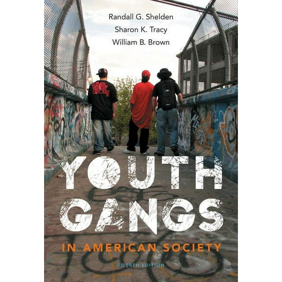 Youth Gangs in American Society, (Paperback)