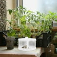 thumbnail image 2 of SHISUYAN Small Betta Fish Tank Fish Tank Aquarium Tank Fish Bowl Mini Aquarium Turtle Tank, 2 of 9