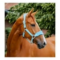 thumbnail image 2 of HORSEWARE IRELAND Horseware Signature Grooming Headcollars, Color: Blue Haze, Size: Horse, 2 of 2