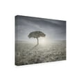 thumbnail image 2 of Ben Heine 'I Hear The Birds Sing' Canvas Art, 2 of 3
