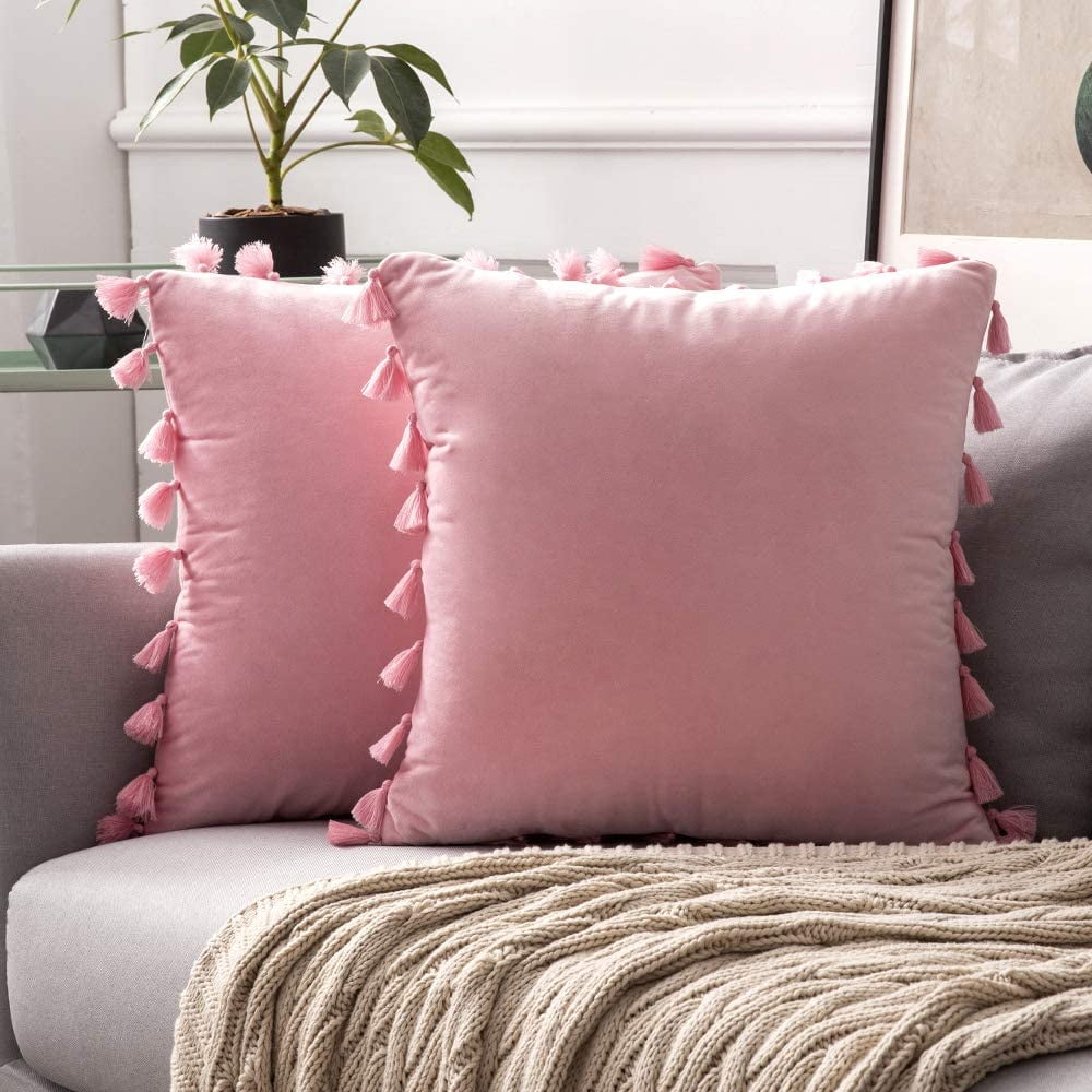 Western Home WH Pack of 2 Velvet Throw Pillows Decorative Throw Pillow Covers with Tassels,Soft Fringe Boho Pillowcase, Accent Cushion Case for