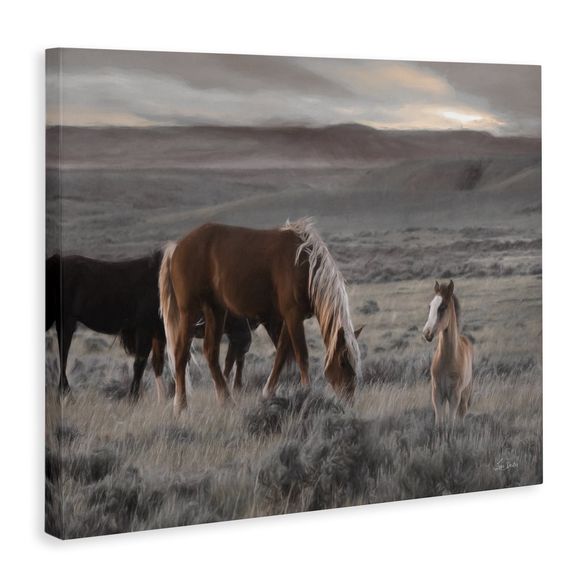 Stupell Industries Country Horses in Valley Animals Photography Wrapped Canvas Art Print Wall Art, 30 x 24