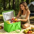 thumbnail image 1 of Carrywell Not Made In China Insulated Reusable Shopping Bag And Delivery Bag For Hot And Cold Food Foldable Ther, 1 of 6