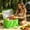 Green, variant on Pompotops Large Insulated Grocery Bag, Reusable Collapsible Thermal Tote for Hot or Cold Food Transport, Green