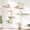 Beige, variant on 5-in-1 Cat Wall Shelves  Solid Wood & Sisal Scratcher 44lbs Max Load Mounted Furniture For Climbers Climbing System Fits Drywall Walls - Cool Gray