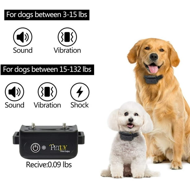 Dog range cheap shock collar