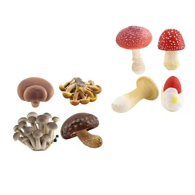 8 Piezas De Decoración De Modelo De Seta De Simulación Para Proyectos De Bricolaje De Jardín De Infantes Sunnimix Estatuas en miniatura