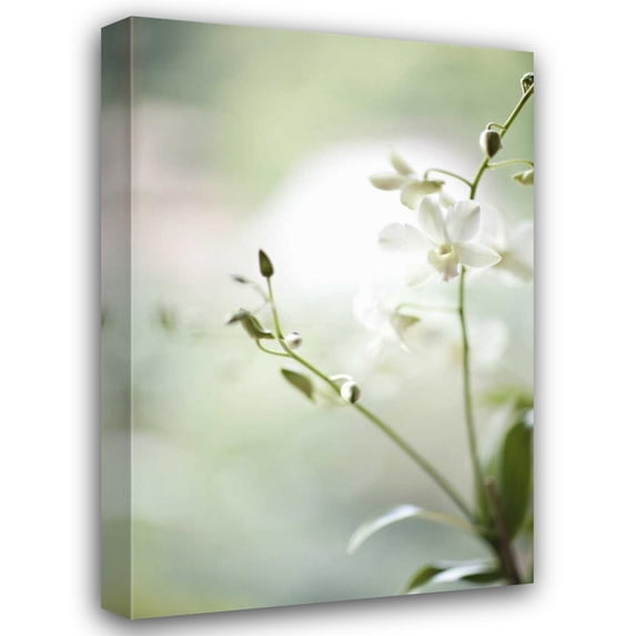 Karyn Millet 28x40 Gallery Wrapped Canvas Wall Art Titled - White Orchid II