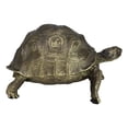 thumbnail image 3 of Marine Reptile Lifelike Galapagos Tortoise Taxidermy Replica Figurine 8"L, 3 of 9