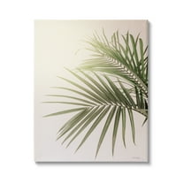 Stupell Industries Minimal Palm Leaves Sunlit Tropical House Plant Photograph Gallery Wrapped Canvas Print Wall Art, Design by Jennifer Rigsby