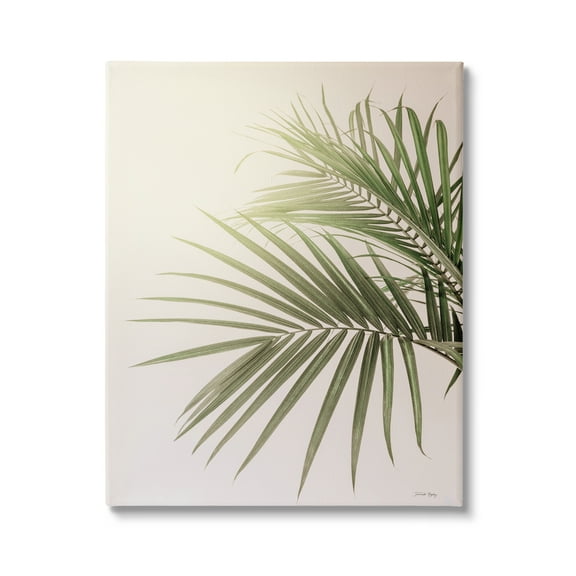 Stupell Industries Minimal Palm Leaves Sunlit Tropical House Plant Photograph Gallery Wrapped Canvas Print Wall Art, Design by Jennifer Rigsby