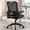 Black Low back, variant on Nexthro Ergonomic Office Chair, Desk Chair with Adjustable Lumbar Support, Breathable Mesh Comfy Computer Chairs with Flip-up Armrests Executive Task Chair for Adults Home Office(Black)