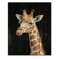 thumbnail image 3 of Designart 'Close Up Portrait Of A Giraffe On Black III' Farmhouse Print on Natural Pine Wood, 3 of 5