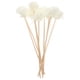 thumbnail image 4 of 10pcs pequeños chrysanthemum perfumado rattan palitos de lata fragancia natural difusor aroma aroma difusor de ratán para decoración del hogar (blanco), 4 of 8