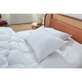 thumbnail image 3 of Beyond Down Bed Pillows, 2-pack, Queen, 3 of 6