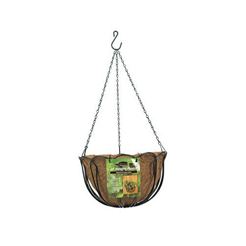 Panacea Hanging Basket With Liner 12 " Round Steel Green