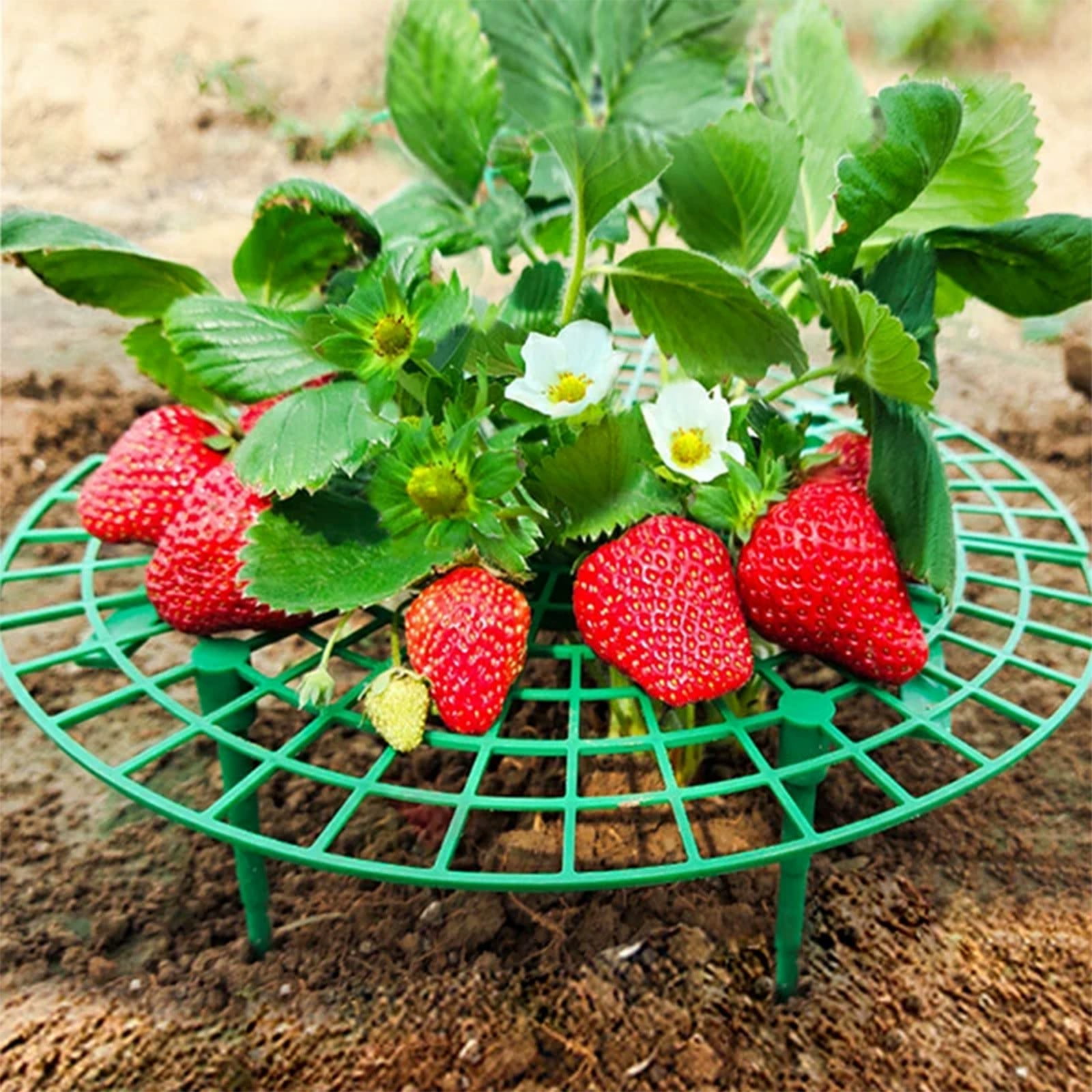 4 Pack Strawberry Supports Prevent Rot, ZzCityTK Adjustable Plastic Garden Frame for Strawberries, Sturdy PE Tray Holders Keep Fruit Off Ground Fresh for Orchard Home Garden
