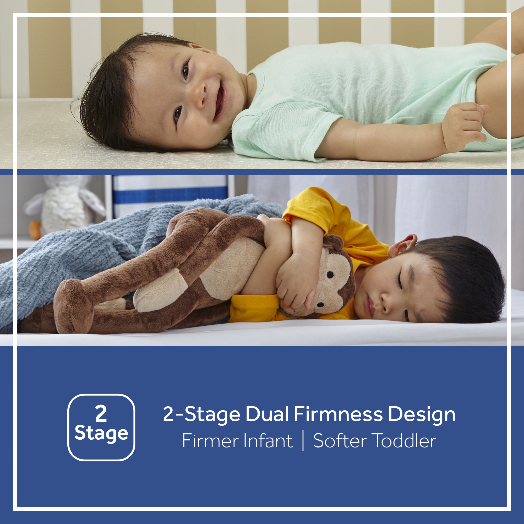 Sealy Ortho Rest 2-Stage Crib and Toddler Mattress photo 8