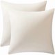thumbnail image 1 of Chenchen Throw Pillow Covers 20x20 Cream: Pack of 2 Cozy Soft Velvet Square Modern Luxury Decorative Throw Pillow Cases for Sofa Couch Living Room Bed Home Decor, 1 of 1