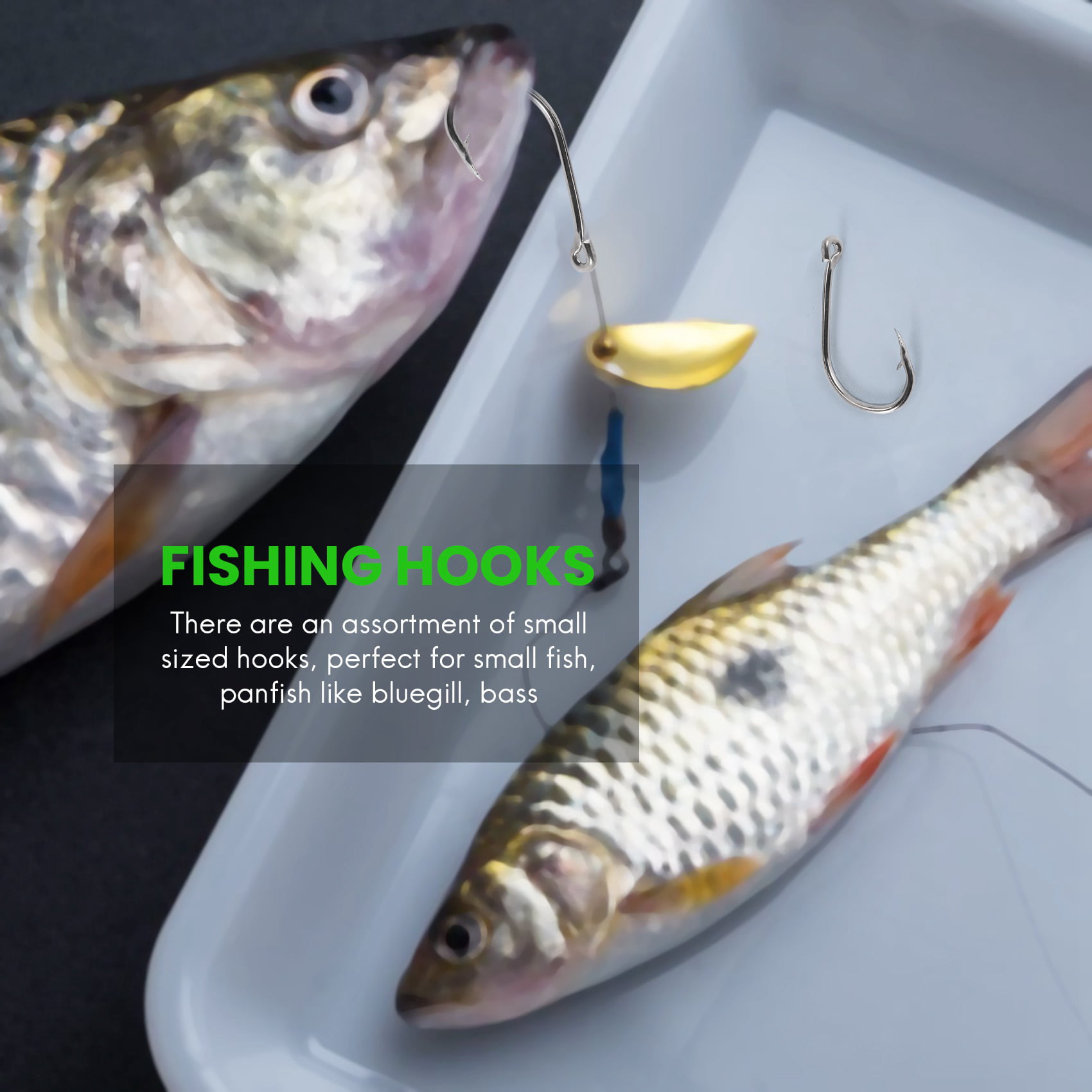 500pcs 10 Sizes Carbon Steel Barbed Fish Hooks Carp Fishing Jig Head Set  Box