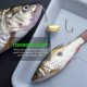 thumbnail image 2 of 500 Unids / Set TamañO Mixto 3 ~ 12 Paquete de Anzuelos Pesca Carpa Acero Alto Carbono con Orificio Cebo Jigging Caja Al por Menor, 2 of 8
