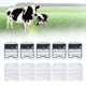 thumbnail image 3 of Bolsa de Colostrum, Interfaz Espiral de Protección Ambiental 10 Piezas de Diseño A Mano de Transporte de Colostrum Bolsa de Almacenamiento para Terneros, 3 of 7