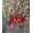 Red, variant on Majestic Ally Hand Tooled Pure Leather Cashmere Carry Cross Body Saddle Blanket Bag with Matching Leather Fringe