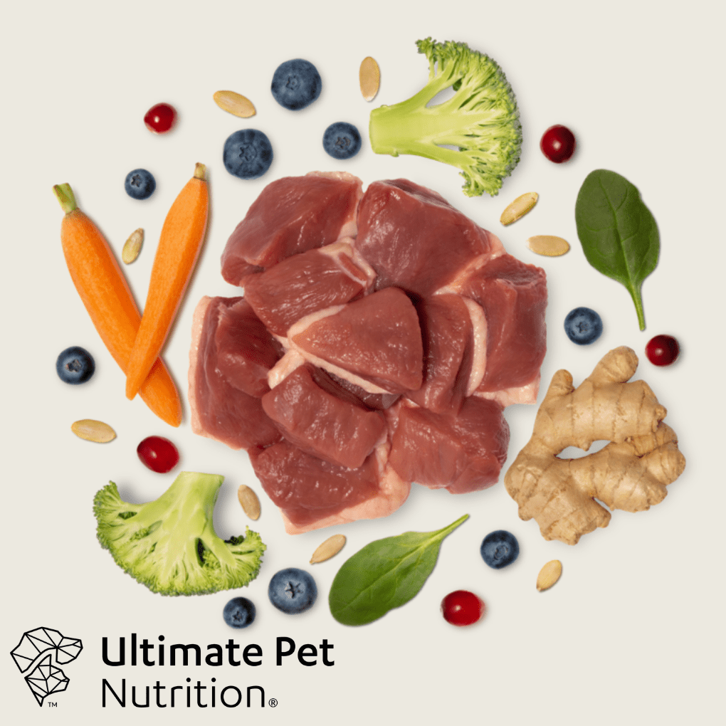 Ultimate Pet Nutrition Nutra Complete Plus Bone Broth Dog Food Duck & Chicken 48 oz.