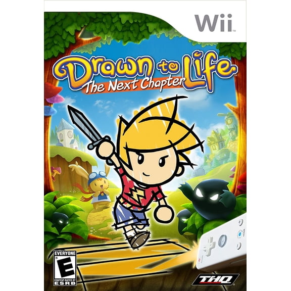 Drawn to Life: The Next Chapter for Nintendo Wii