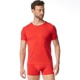 thumbnail image 2 of Bruno Banani T-Shirt pour Homme - Haut, Chemise, Ligne à Carreaux 2.0, Polyamide, Col Rond, Logo, Couleur Unie Rouge P (Petit), 2 of 4