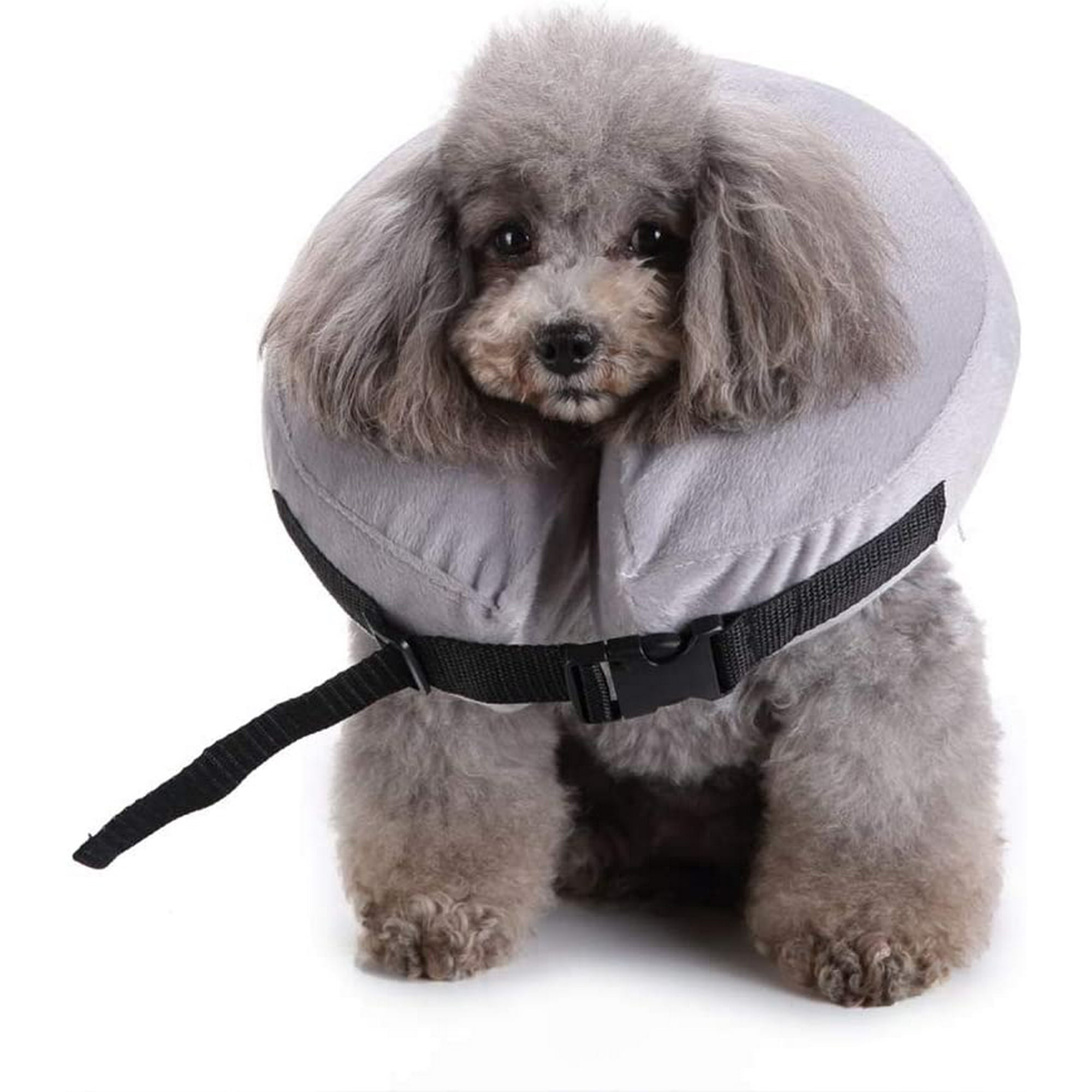 Inflatable collar walmart deals