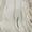 Ivory, variant on Dalyn Rugs Premium Machine Washable Mayfield AMF1037 Paprika 2'3" x 7'6" Runner Rug
