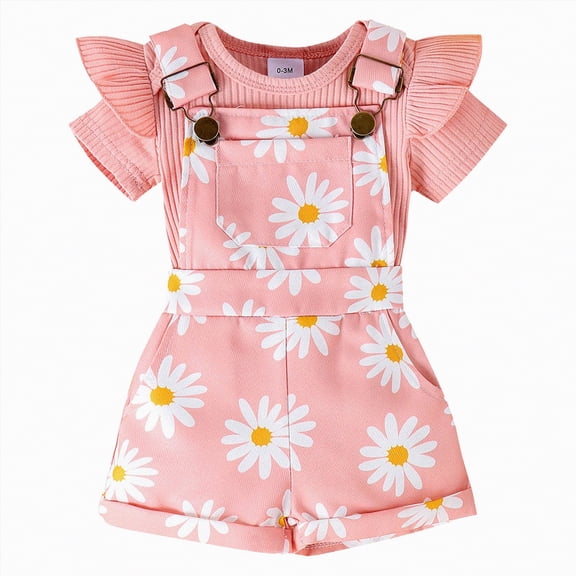 Ymyiu Girls Baby Clothes Toddler Baby Girls Seasonal Wear Short Sleeve Romper with Elastic Short Kids Girls Spring Summer 2PCS Outfits Set 6 12 Months (Pink,6-12 Months)