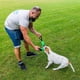 thumbnail image 4 of 1 juguete naranja para morder perros, perfecto para entrenamiento de cachorros y para perros medianos a grandes, juguete para tirar firmemente cosido, 4 of 4