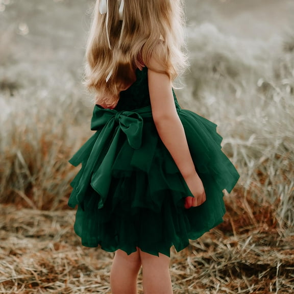 Tawop Girls Dresses Girls' Fall and Spring Long Sleeve Ruffled Lace Round-Neck Embroidery Mesh Princess Bow Skirt