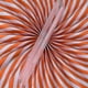 thumbnail image 2 of 500pcs Clear Jumbo Straw Plastic Drinking Straws Smoothies Milkshake Cocktail, 2 of 3