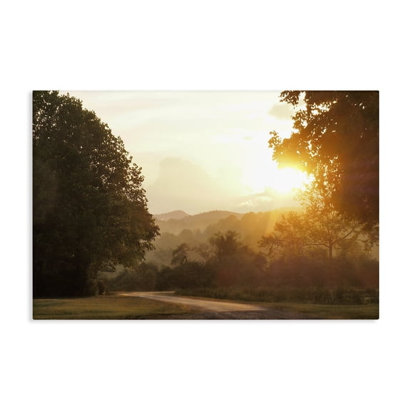 Stupell Industries Traditional Golden Morning Between Trees Canvas Art, 24 x 16, by Gail Peck