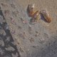 thumbnail image 5 of 1 Uds. 5D pegatinas de lujo con purpurina de mariposa para decoración de uñas, pegatinas autoadhesivas acrílicas Kawaii AB, calcomanías deslizantes, accesorios DIY, 5 of 5