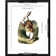 thumbnail image 5 of Art.com I'm Late Alice in Wonderland White Rabbit by John Tenniel Art Print by Piddix, Black Frame Wall Art, 17" x 21", 5 of 5