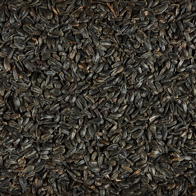 Kaytee Black Oil Sunflower Wild Bird Food, 5 Lb photo 4
