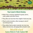 thumbnail image 6 of Baar Lawn Mole Castor Oil, MolEvict, 1 Gallon, 6 of 6