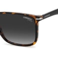thumbnail image 5 of Lentes de Sol Carrera 298/S para Hombre 205371086579O Carrera 205371086579O, 5 of 5