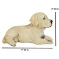 thumbnail image 6 of Lifelike Adorable Labrador Puppy Dog Lying On Belly With Crossed Arms Figurine, 6 of 8