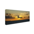 thumbnail image 4 of Trademark Fine Art "Seagull Sunset" Canvas Art by Kurt Shaffer, 4 of 4