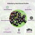 thumbnail image 5 of Elderberry Powder Organic Freeze-Dried Pure from Chile Sambucus Nigra - 4oz. | 28 Servings - Go Nutra, 5 of 6