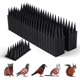 thumbnail image 1 of Pigeon Spike, repelente de palomas de balcón de plástico, espiga de gato repelente de palomas, pico de pájaro para espantar palomas, cuervos, gorriones, gatos, protección del jardín (2 Feliz Sencillez, 1 of 3