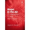 Anger in the Air: Combating the Air Rage Phenomenon (Hardcover)