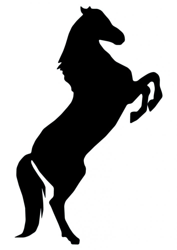 Details about  / Large Wall Decal Sticker Art Removable Vinyl Transfer Black Silhouette Horse